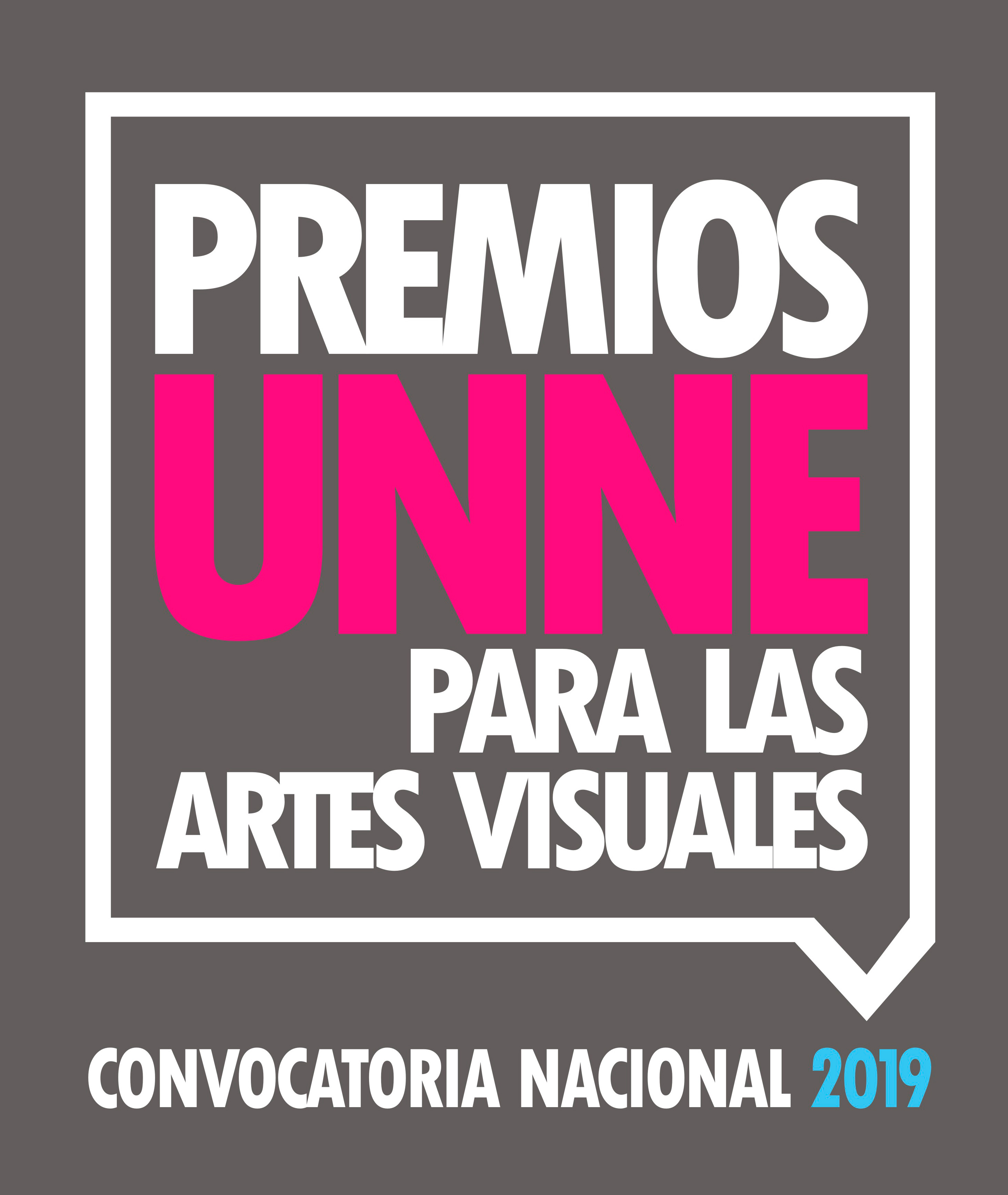 PREMIO UNNE ARTES VISUALES